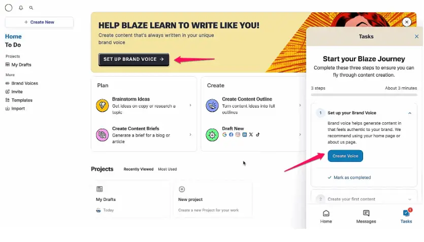 Blaze.Ai Review